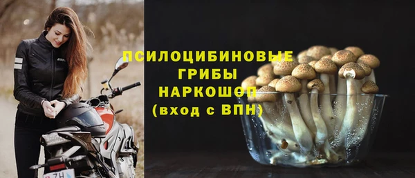 амф Белоозёрский