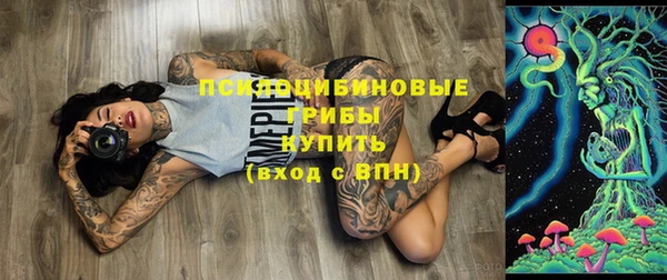 spice Кодинск