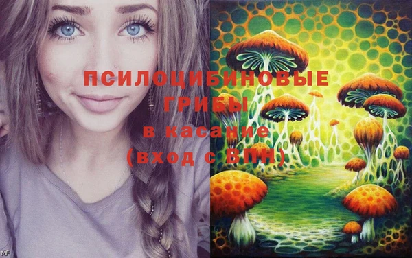 амф Белоозёрский
