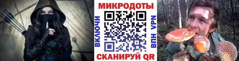 Галлюциногенные грибы мицелий  где купить наркоту  Гаврилов-Ям 